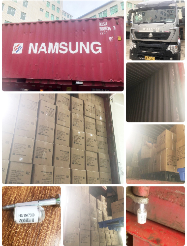 Rongsen Shipment Photo